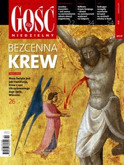 : Gość Niedzielny - Gliwicki - e-wydanie – 14/2017