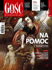 : Gość Niedzielny - Warszawski - e-wydanie – 43/2017