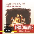Lektury szkolne, opracowania lektur: Dziady cz. III - opracowanie - audiobook