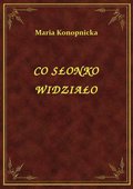 ebooki: Co Słonko Widziało - ebook