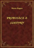 Proboszcz Z Szetyny - ebook