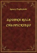 Zgubna Rola Chłopickiego - ebook