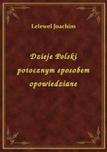 Dzieje Polski potocznym sposobem opowiedziane - ebook