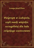 Pielgrzym w Lubopolu, czyli nauki wiejskie, szczególniej dla ludu szląskiego zastosowane - ebook