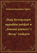 Ślady historycznych wypadków polskich w „Zimowej powieści” i „Burzy” Szekspira - ebook