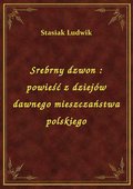 Srebrny dzwon : powieść z dziejów dawnego mieszczaństwa polskiego - ebook