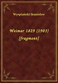 Weimar 1829 (1903) [fragment] - ebook