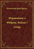 Wspomnienia z Wołynia, Polesia i Litwy - ebook