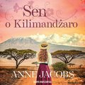 Sen o Kilimandżaro - audiobook