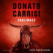 : Zaklinacz - audiobook