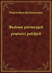 : Budowa pierwszych powieści polskich - ebook