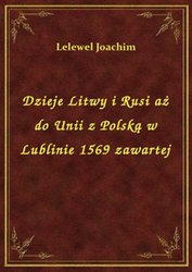 : Dzieje Litwy i Rusi aż do Unii z Polską w Lublinie 1569 zawartej - ebook