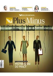 : Plus Minus - e-wydanie – 33/2018