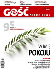 : Gość Niedzielny - Świdnicki - e-wydanie – 36/2018
