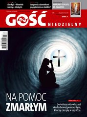 : Gość Niedzielny - Świdnicki - e-wydanie – 43/2018